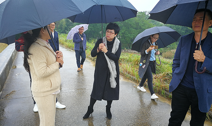 走訪案例：中厚明德專家團隊調研安徽省郎溪經濟開發(fā)區(qū)項目